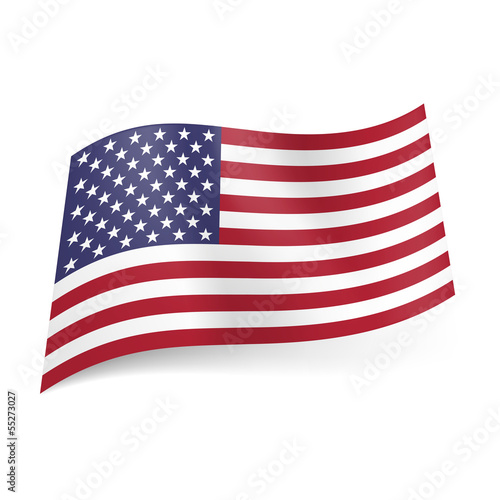 Vector: State flag of the USA State flag of the USA