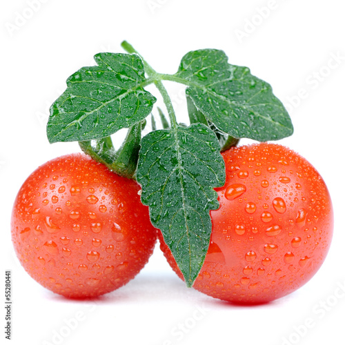 Photo: Red Tomatoes with Green Leaf and Water Drops Isolated on White Red Tomatoes with Green Leaf and Water Drops Isolated on White