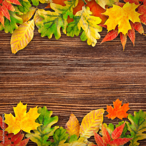 Photo: Autumn leaves on a wooden background Autumn leaves on a wooden background