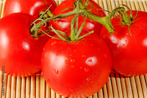 Photo: Fresh Tomatoes Fresh Tomatoes