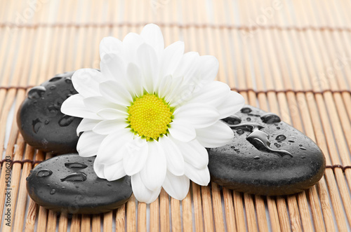 Photo: The spa a stone on bamboo background The spa a stone on bamboo background