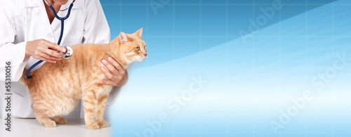 Photo: Ginger cat with veterinarian doctor. Ginger cat with veterinarian doctor.