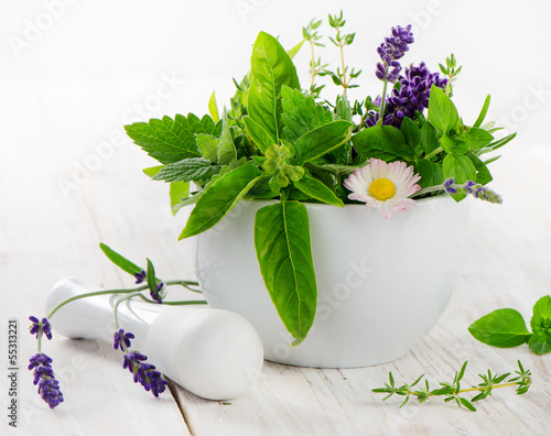 Photo: Mortar with fresh herbs Mortar with fresh herbs