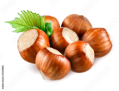 Photo: Hazelnut Hazelnut