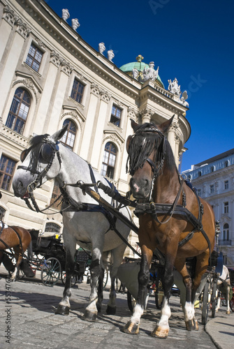 Photo: Spanish Riding School, Vienna Spanish Riding School, Vienna