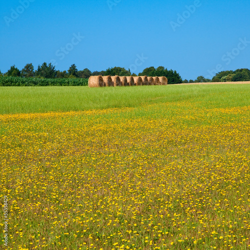 Photo: France > Paysage > Campagne France > Paysage > Campagne