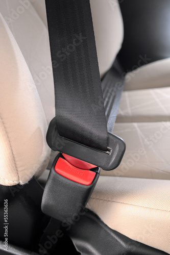 Photo: Safety belt Safety belt