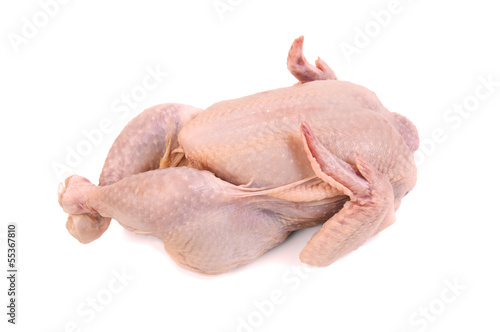 Photo: Broiler chiken Broiler chiken