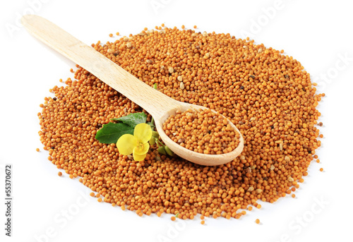 Photo: Mustard seeds with mustard flower isolated on white Mustard seeds with mustard flower isolated on white