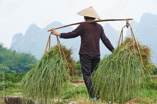Photo: chinese agricultural farm worker chinese agricultural farm worker