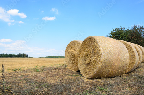 Photo: Hay Bales Hay Bales