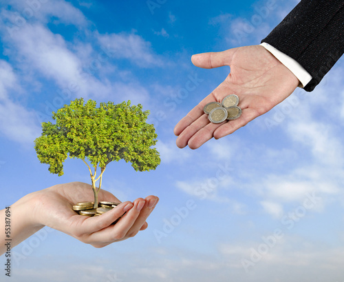 Photo: Investing to green business Investing to green business