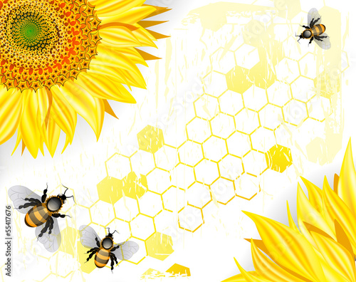 Vector: Sunflower and bees on white background Sunflower and bees on white background