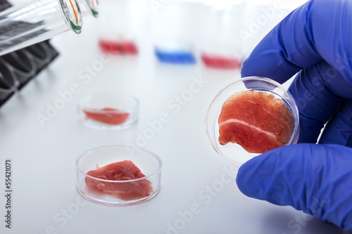 Photo: Meat cultured in laboratory conditions from stem cells Meat cultured in laboratory conditions from stem cells