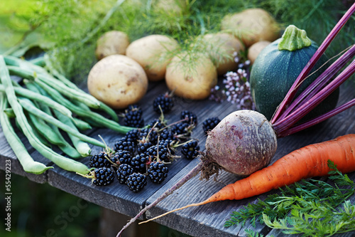 Photo: Fresh vegetables on the garden table Fresh vegetables on the garden table