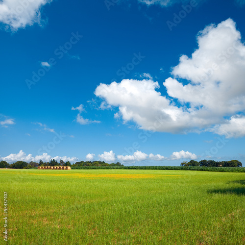 Photo: France > Paysage > Campagne > Champ France > Paysage > Campagne > Champ