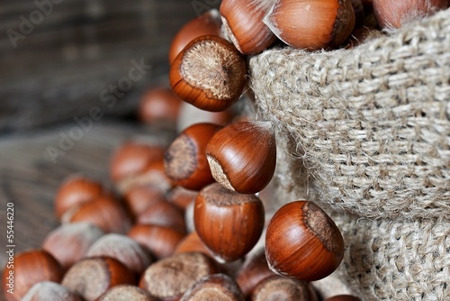 Photo: Fındık çuvalı Fındık çuvalı