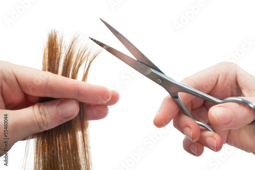 Photo: hands of hairdresser cutting woman’s hair hands of hairdresser cutting woman’s hair