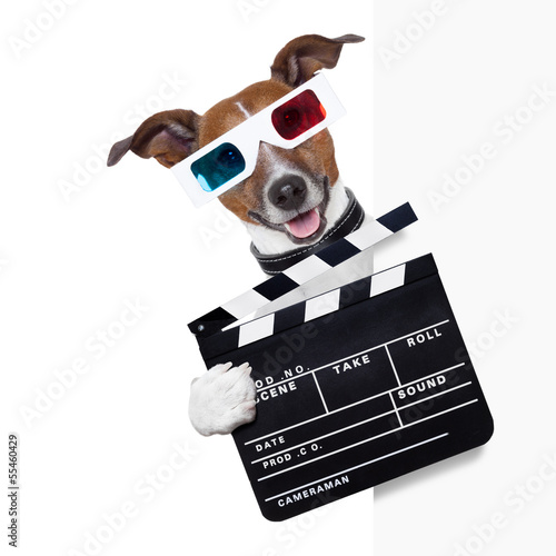 Photo: clapper dog clapper dog