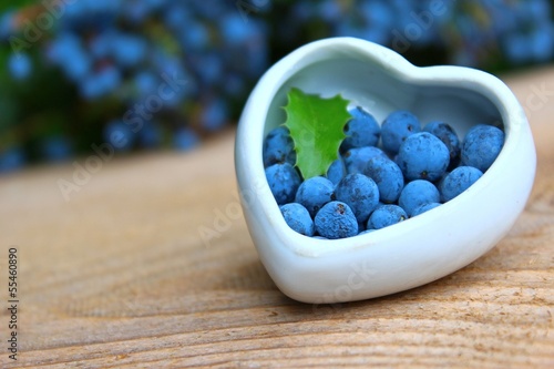 Photo: beeren der mahonie beeren der mahonie
