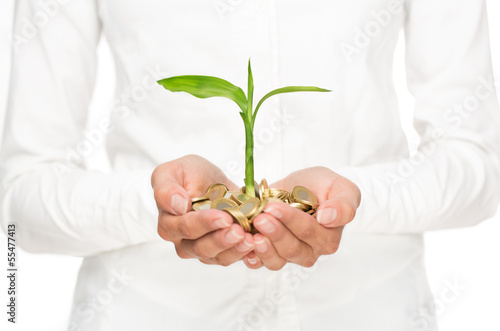 Photo: Investment concept Investment concept