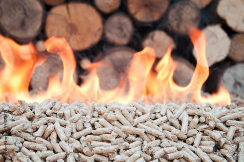 Photo: Pellets- Biomass Pellets- Biomass