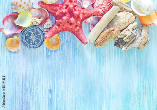 Photo: sea shells and compass sea shells and compass