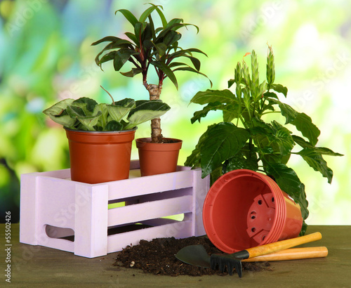 Photo: Beautiful flowers in pots on table on bright background Beautiful flowers in pots on table on bright background
