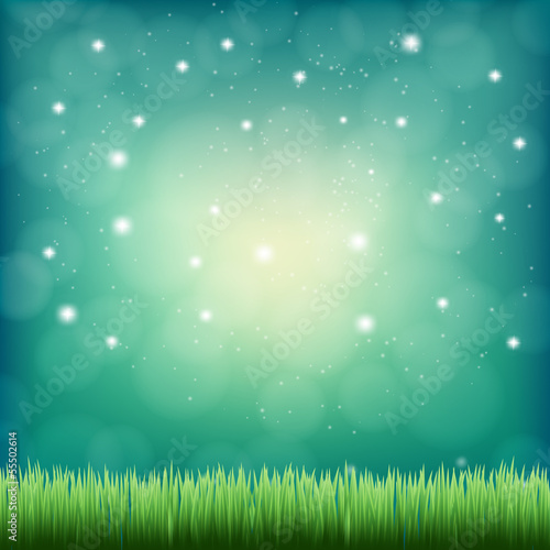 Vector: green grass under the night fantasy sky green grass under the night fantasy sky