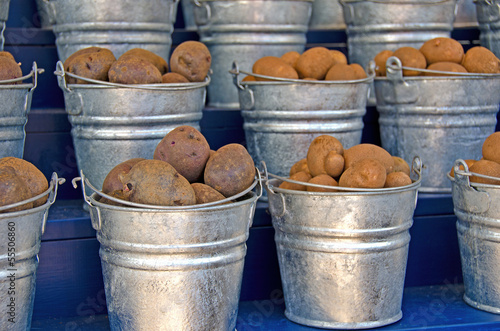 Photo: potatoes in metal pails potatoes in metal pails