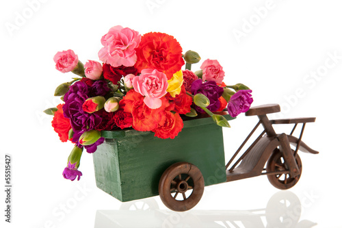 Photo: Little Dianthus in green car Little Dianthus in green car