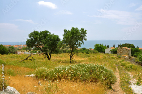 Photo: urige landschaft auf samos, griechenland urige landschaft auf samos, griechenland