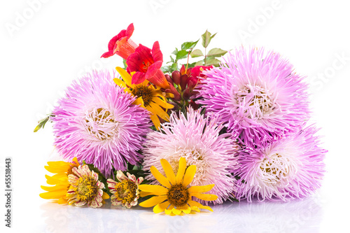Photo: bouquet of asters bouquet of asters