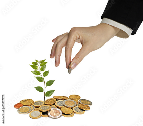 Photo: Investing to green business Investing to green business