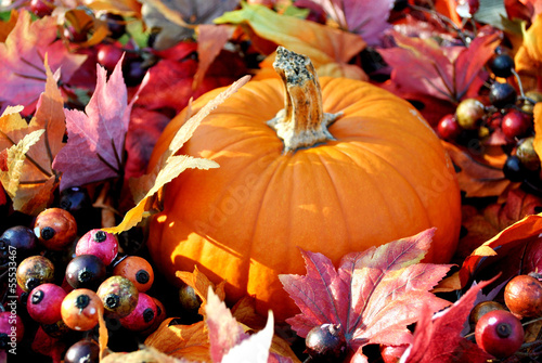 Photo: Pumpkin in Fall Leaves and Berries Pumpkin in Fall Leaves and Berries
