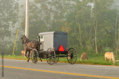 Photo: Amish horse and buggy on the road Amish horse and buggy on the road