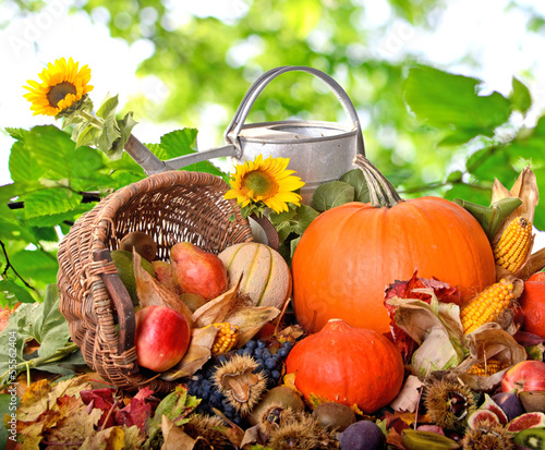 Photo: Herbst: Stillleben mit Gießkanne und Früchten Herbst: Stillleben mit Gießkanne und Früchten