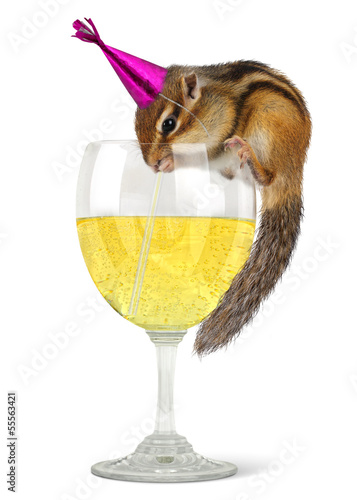 Photo: Funny chipmunk dress celebrat hat Funny chipmunk dress celebrat hat