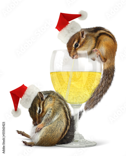 Photo: Funny drunk santas, chipmunks dress santa hat Funny drunk santas, chipmunks dress santa hat