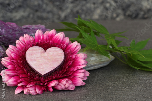 Photo: Gerberablüte mit Herz Gerberablüte mit Herz