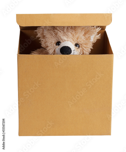 Photo: Teddy bear in a cardboard box Teddy bear in a cardboard box