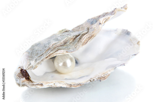 Photo: Open oyster with pearl isolated on white Open oyster with pearl isolated on white