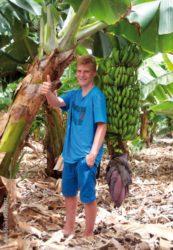 Photo: Ja zu Bananen Ja zu Bananen
