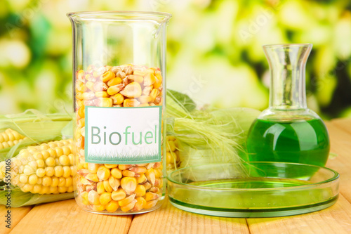 Photo: Conceptual photo of bio fuel. On bright background Conceptual photo of bio fuel. On bright background