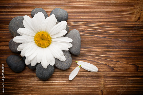 Photo: Spa stones. Spa stones.