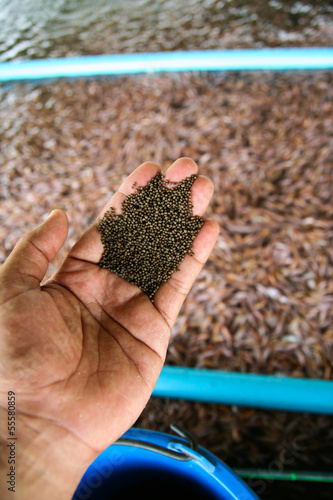 Photo: commercial food for fish farm commercial food for fish farm