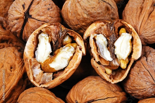 Photo: Walnuts in shells © Arena Photo UK Walnuts in shells © Arena Photo UK