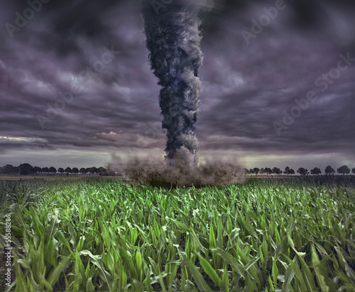 Photo: large tornado large tornado