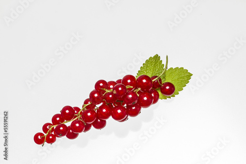 Photo: Rote Johannisbeeren Rote Johannisbeeren