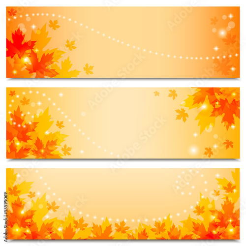 Vector: Autumn banners with maple leaves.Vector illustration. Autumn banners with maple leaves.Vector illustration.